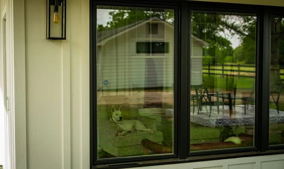 Large black-framed replacement windows in cream board-and-batten siding with a black wall lantern